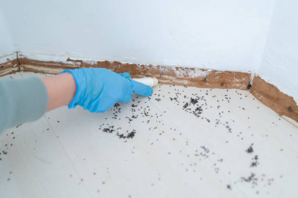 Best Pest Prevention Services  in St Johns, MI